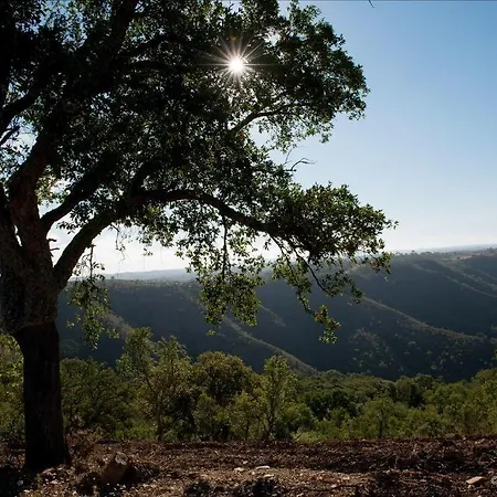 Quinta Monte Da Rocha *