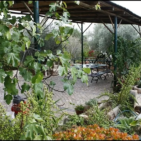 Quinta Monte Da Rocha *